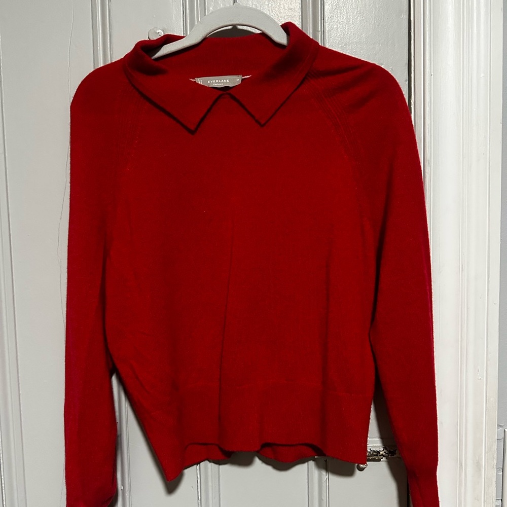 Everlane Bold Red Collared Sweater